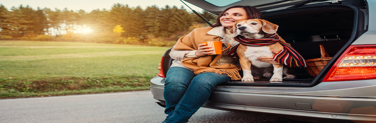 Woman And Dog With Shawls Sits Together In Car Trunk On Autumn Road