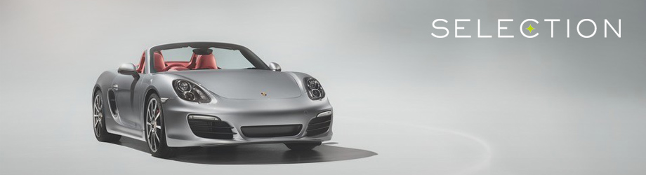920x250_selection.jpg