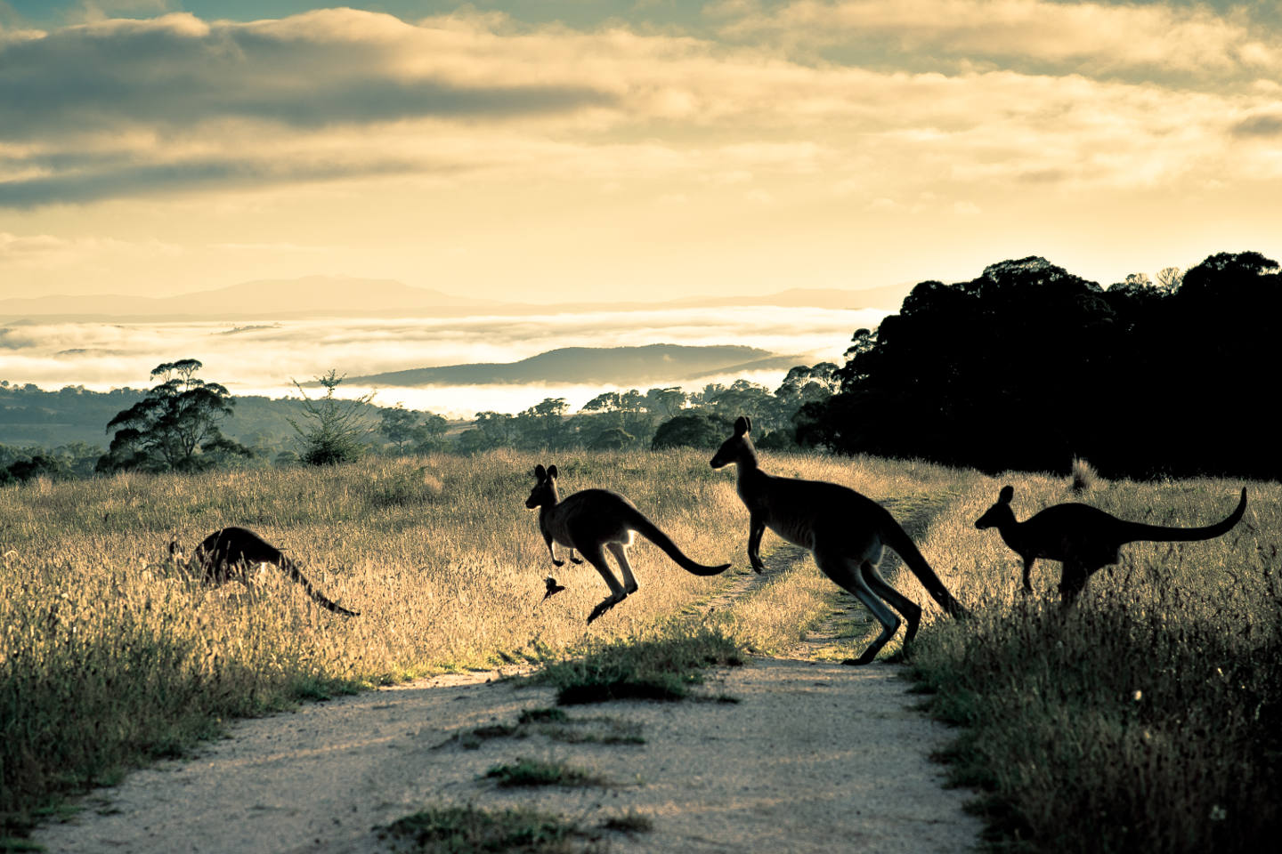 Europcar location de voiture
